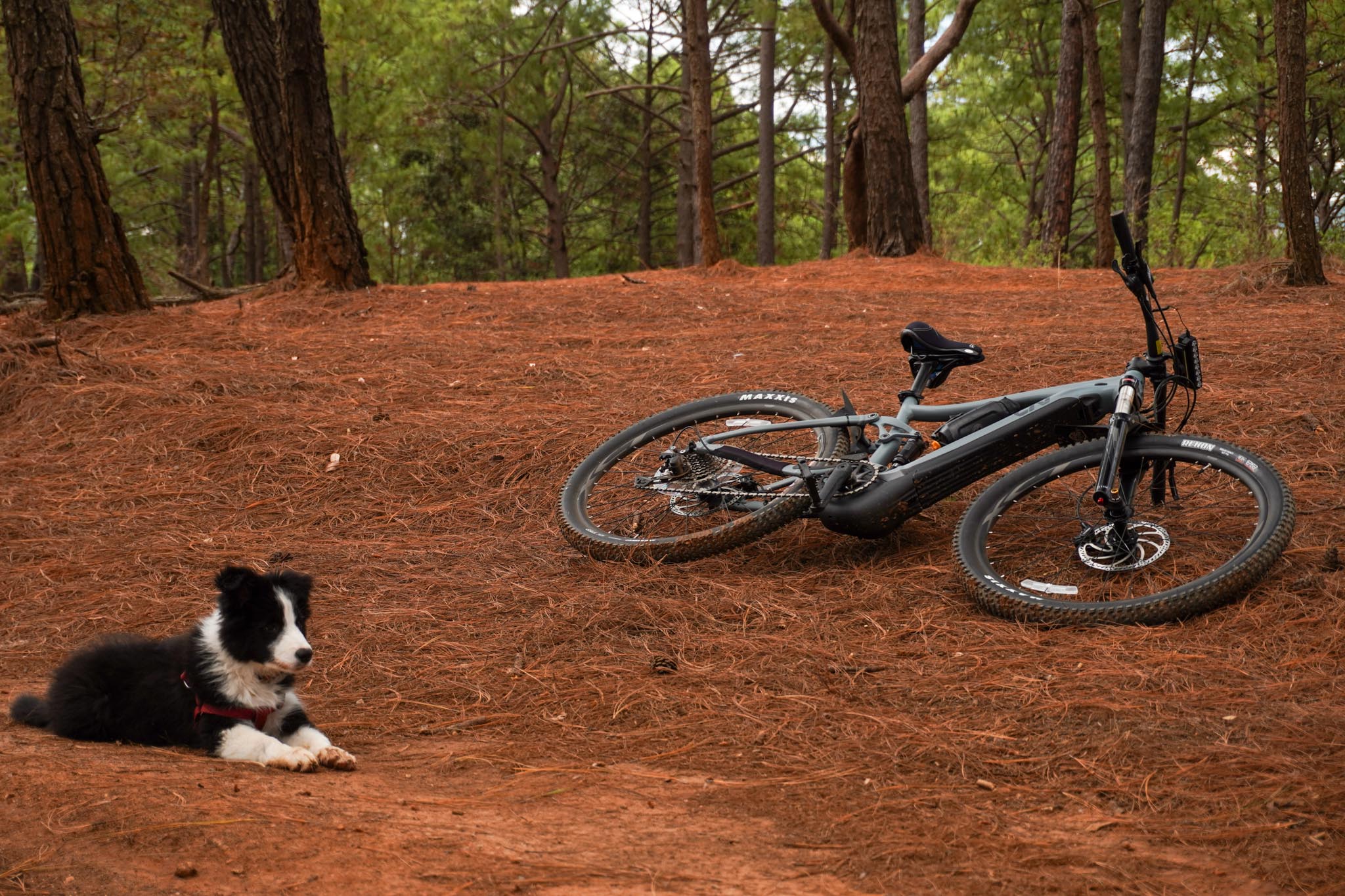 Tour en bicicleta 8