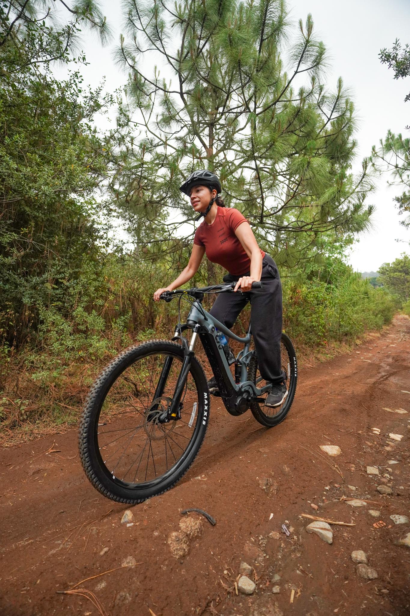 Tour en bicicleta 2