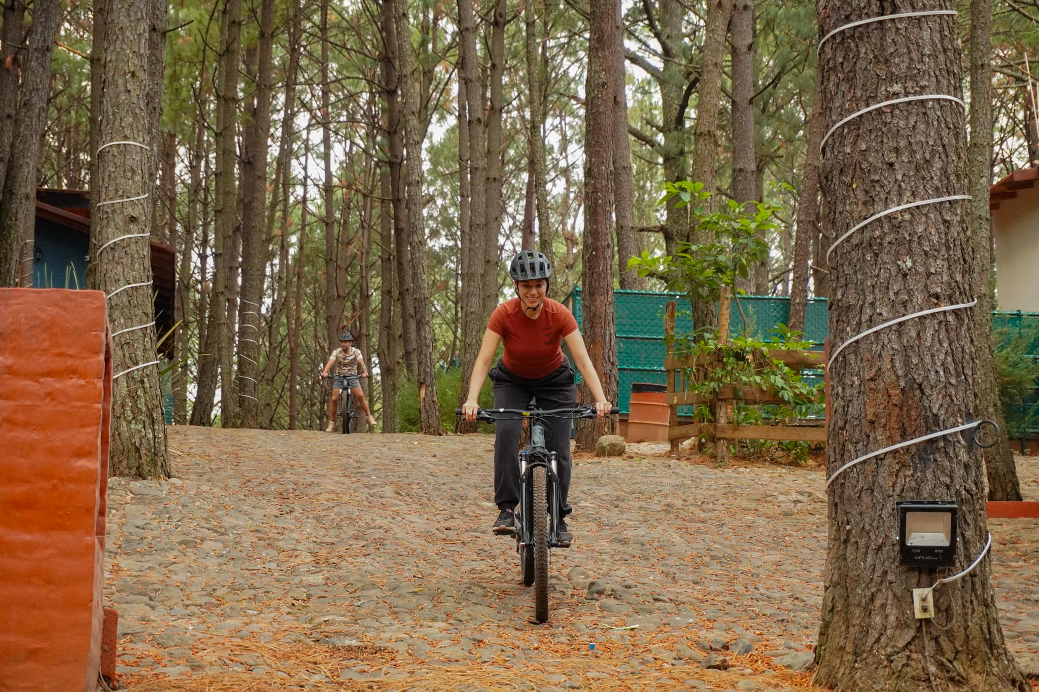 Bosque Mazamitla