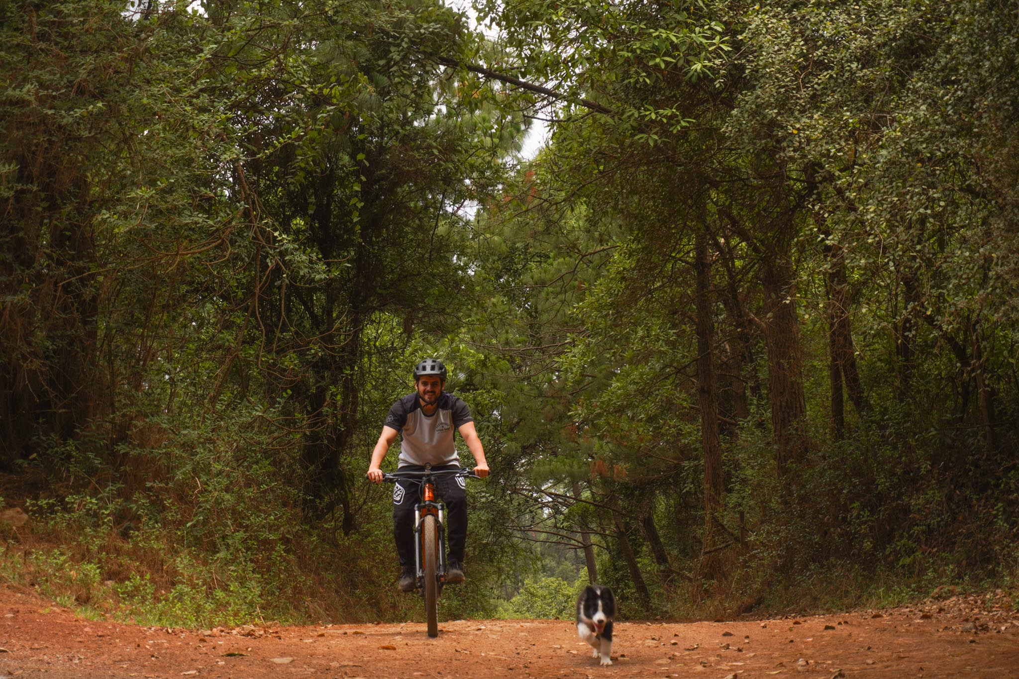 Tour en bicicleta 7