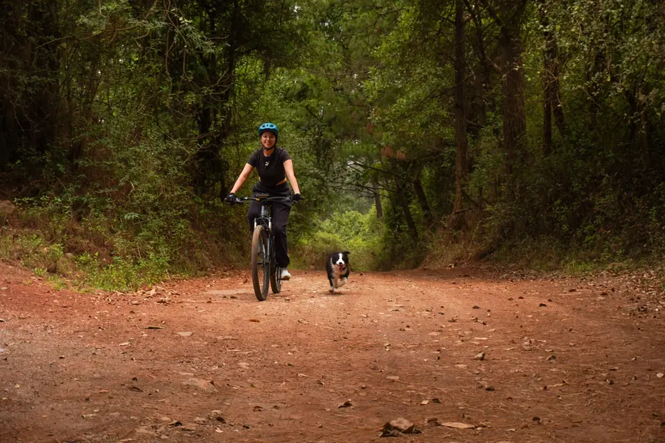 Ciclista y un perrito en un sendero del bosque de Mazamitla
